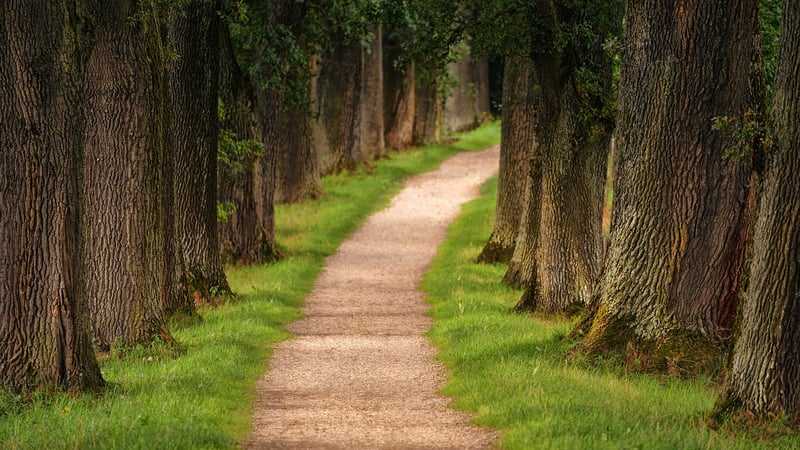 Whimsical Paths