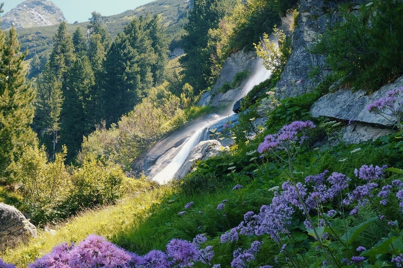 Waterfall in Garden